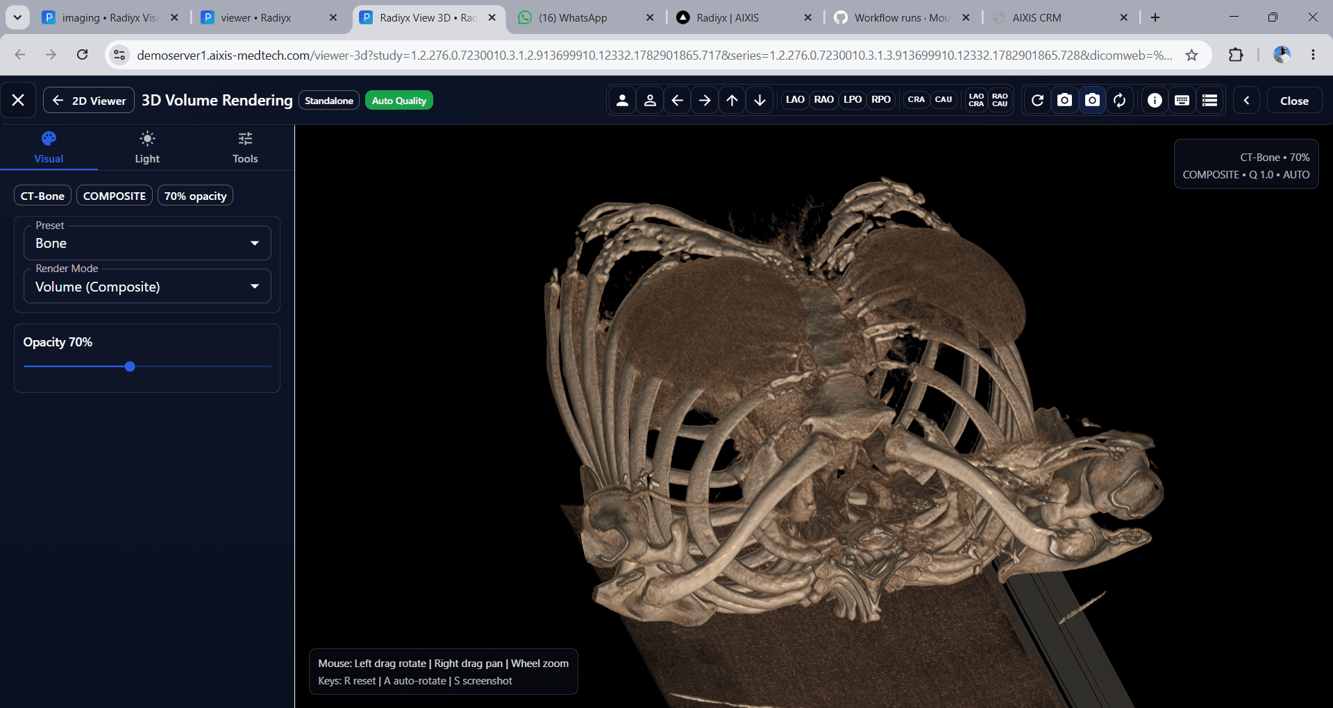 Radiyx View interface screenshot