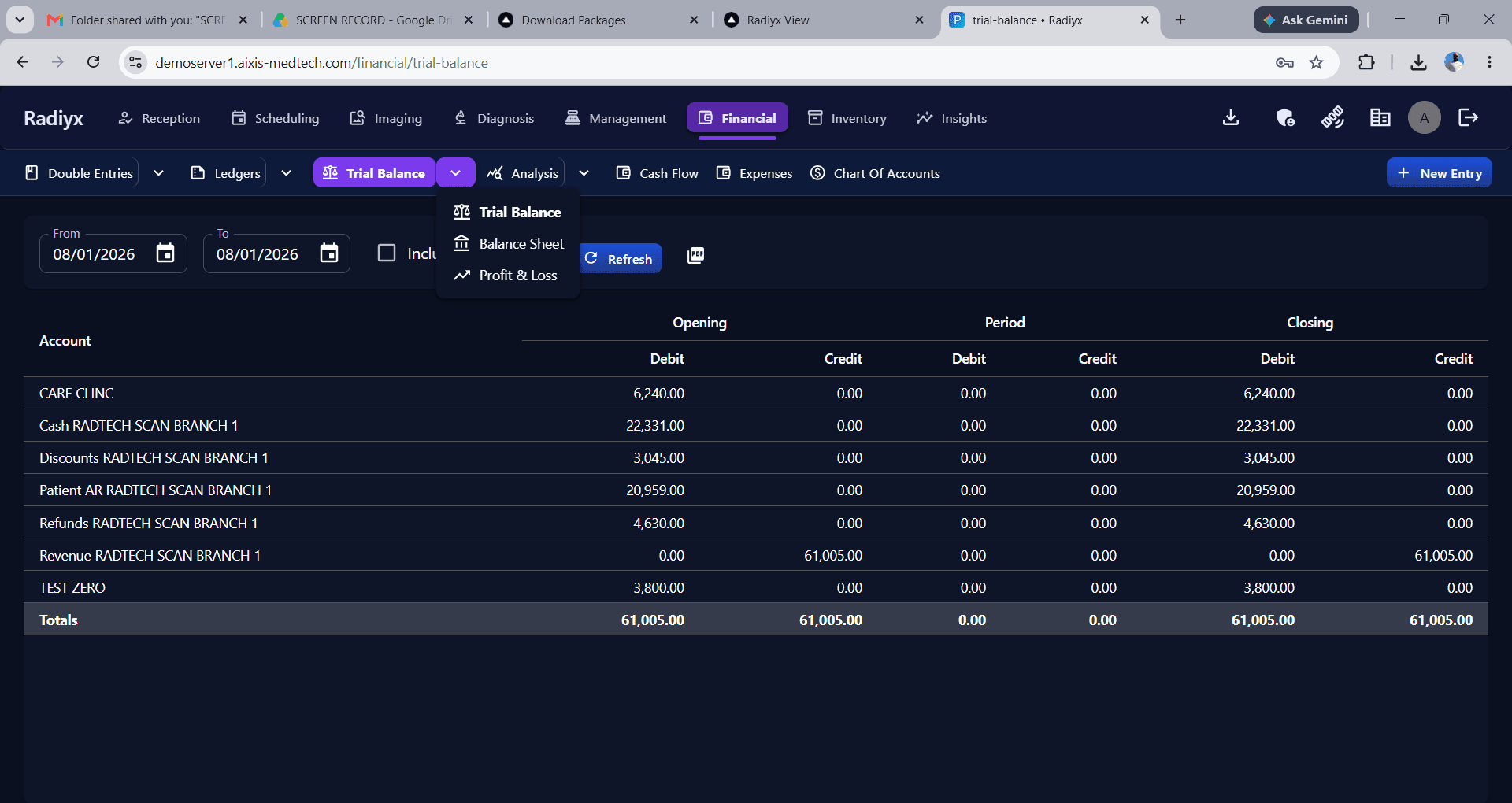 Radiyx Financial Trial Balance with opening, period, and closing debit and credit columns